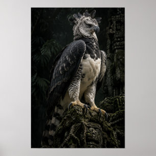 Harpy Arend in Donkere Regenwoud Natuur Kunst aan Poster