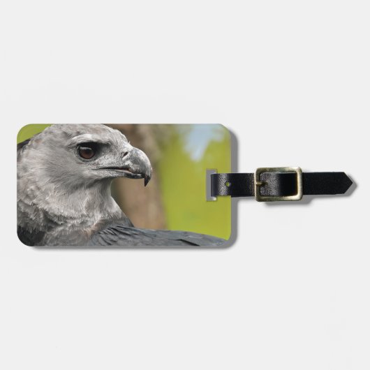 Harpy Eagle 1.JPG Bagagelabel (Voorkant horizontaal)