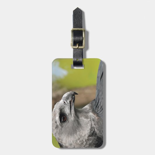 Harpy Eagle 1.JPG Bagagelabel (Voorkant verticaal)