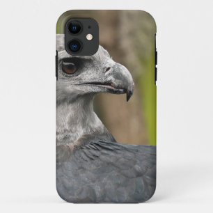 Harpy Eagle 1.JPG iPhone 11 Hoesje