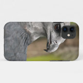 Harpy Eagle 1.JPG Case-Mate iPhone Case (Achterkant (horizontaal))