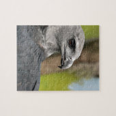 Harpy Eagle 1.JPG Legpuzzel (Horizontaal)
