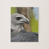 Harpy Eagle 1.JPG Legpuzzel (Verticaal)