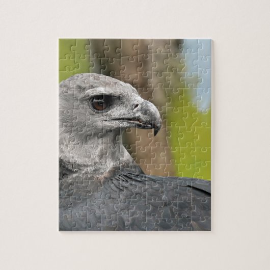 Harpy Eagle 1.JPG Legpuzzel (Verticaal)