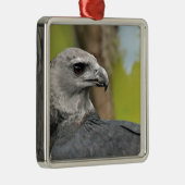 Harpy Eagle 1.JPG Metalen Ornament (Rechts)