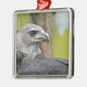 Harpy Eagle 1.JPG Metalen Ornament (Links)