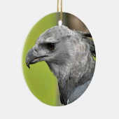 Harpy Eagle 2.JPG Keramisch Ornament (Rechts)