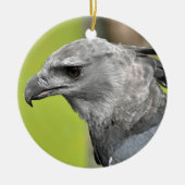 Harpy Eagle 2.JPG Keramisch Ornament (Voorkant)