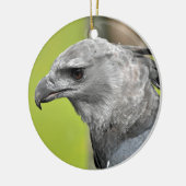 Harpy Eagle 2.JPG Keramisch Ornament (Links)