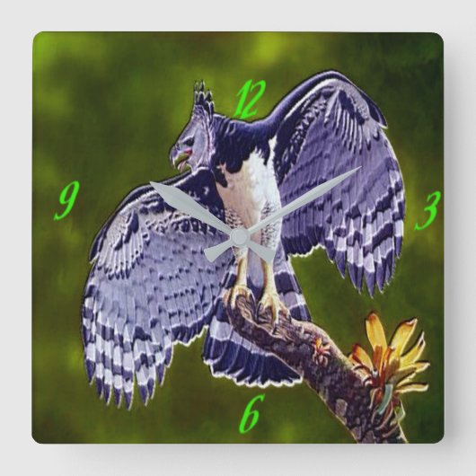 "Harpy Eagle" Acrylic Wall Clock Vierkante Klok (Voorkant)