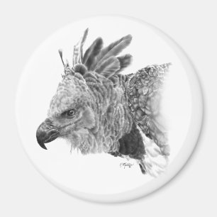 Harpy Eagle Drawing Magneet