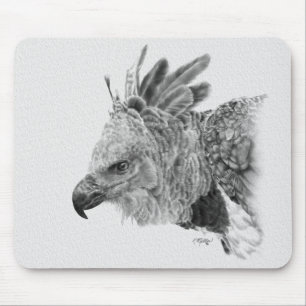 Harpy Eagle Drawing Muismat