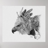 Harpy Eagle Drawing Poster (Voorkant)