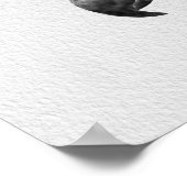 Harpy Eagle Drawing Poster (Hoek)