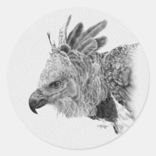 Harpy Eagle Drawing Ronde Sticker