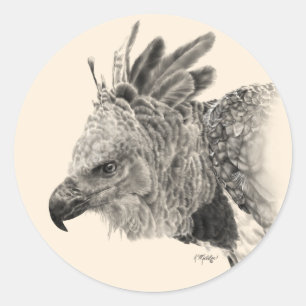 Harpy Eagle Drawing Ronde Sticker