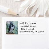 Harpy Eagle Etiket (Insitu)