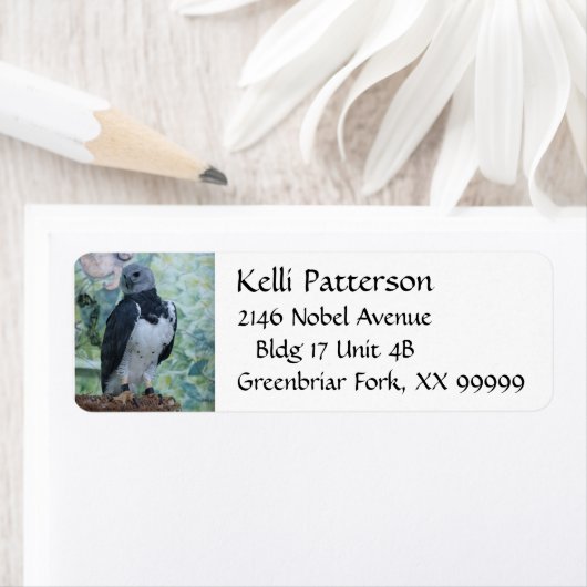 Harpy Eagle Etiket (Insitu)