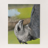 Harpy Eagle Jigzaag Puzzle Legpuzzel (Verticaal)