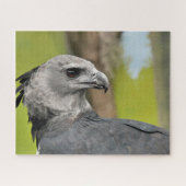 Harpy Eagle Jigzaag Puzzle Legpuzzel (Horizontaal)