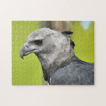 Harpy Eagle Jigzaag Puzzle