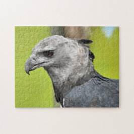 Harpy Eagle Jigzaag Puzzle Legpuzzel