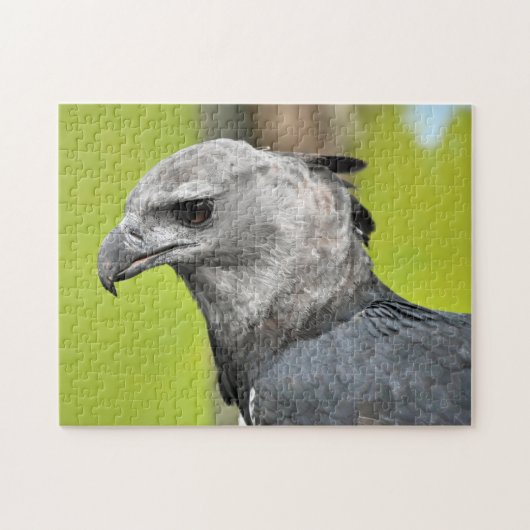 Harpy Eagle Jigzaag Puzzle Legpuzzel (Horizontaal)