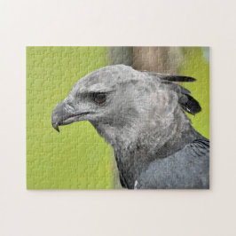 Harpy Eagle Jigzaag Speelgoed Puzzle Legpuzzel