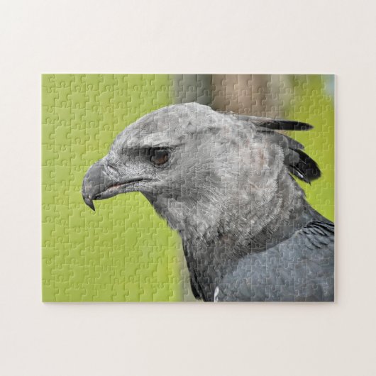 Harpy Eagle Jigzaag Speelgoed Puzzle Legpuzzel (Horizontaal)