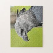 Harpy Eagle Jigzaag Speelgoed Puzzle Legpuzzel (Verticaal)
