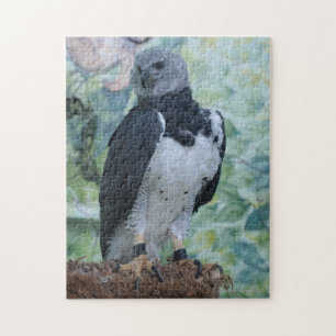 Harpy Eagle Legpuzzel