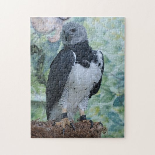 Harpy Eagle Legpuzzel (Verticaal)