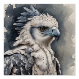 Harpy Eagle no 1 Glanzend Poster