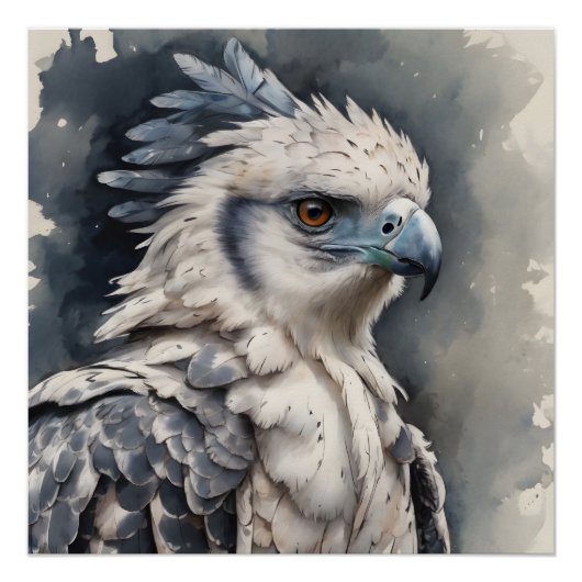 Harpy Eagle no 1 Glanzend Poster (Voorkant)