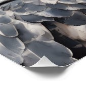 Harpy Eagle no 1 Glanzend Poster (Hoek)