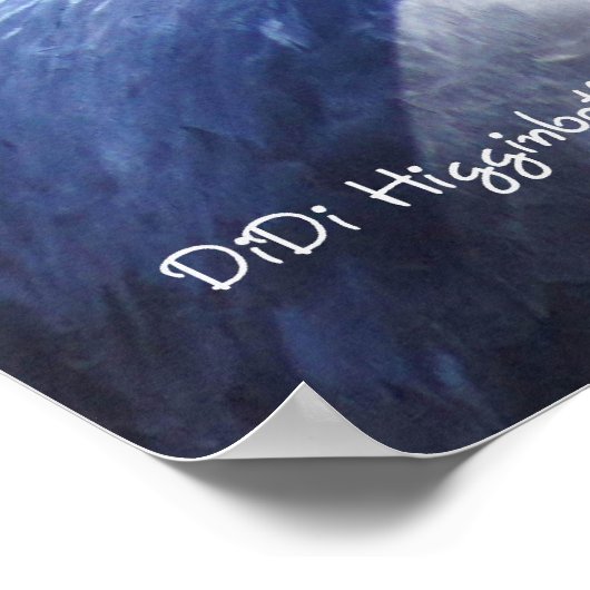 Harpy Eagle Poster (Hoek)