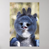 Harpy Eagle Poster (Voorkant)