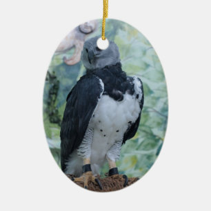 Harpy Eagle Standing Regal Keramisch Ornament