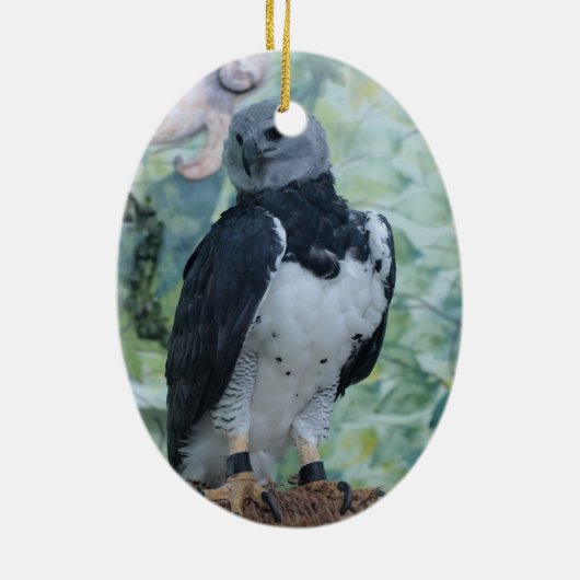 Harpy Eagle Standing Regal Keramisch Ornament (Achterkant)