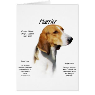 Harrier Geschiedenis Ontwerp