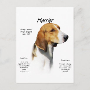 Harrier Geschiedenis Ontwerp Briefkaart