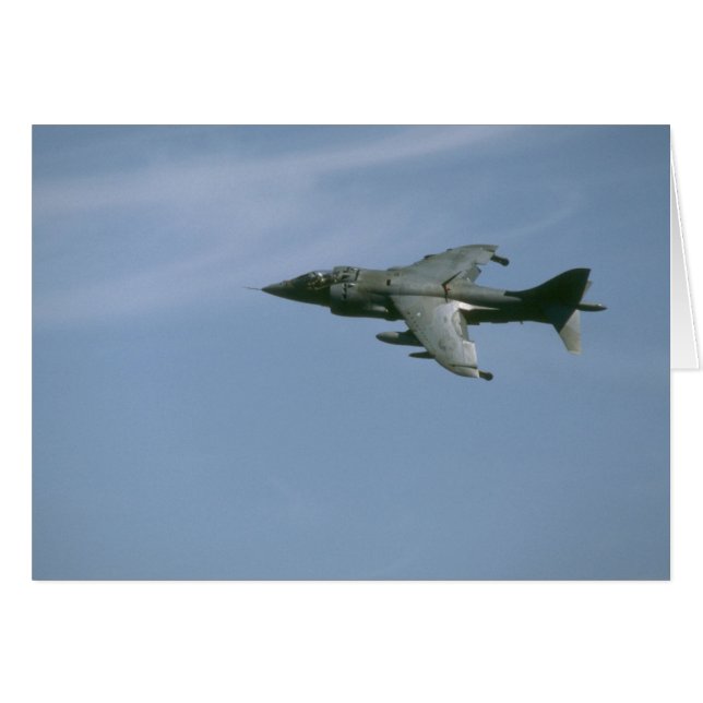 Harrier in vlucht (Voorkant Horizontaal)