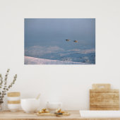 Harrier Jump Jets Poster (Keuken)