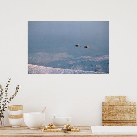 Harrier Jump Jets Poster (Keuken)