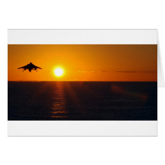 "HARRIER SUNRISE"