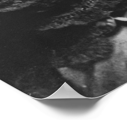 Harriet Beecher Stowe Poster (Hoek)