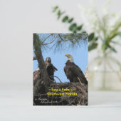 Harriet Eagle familie vogels Florida Briefkaart (Staand voorkant)