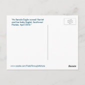 Harriet Eagle familie vogels Florida Briefkaart (Achterkant)