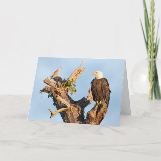 Harriet en de Duif Feestdagen Kaart (Voorkant)