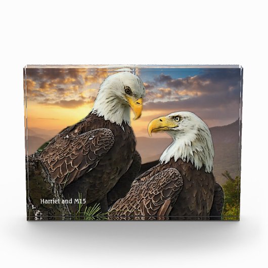 Harriet en M15 Eagle Love Fotoblokken (Voorkant)